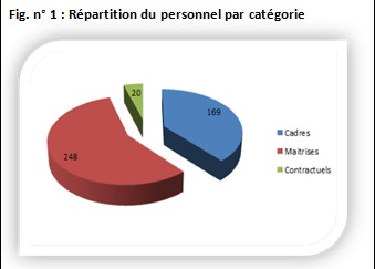 Fig. n° 1 : Répartition du personnel par catégorie