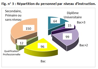 Fig. n° 3 : Répartition du personnel par niveau d’instruction.