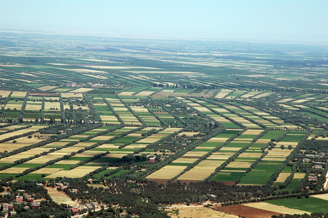 Une R gion Vocation Agricole Par Excellence ORMVAT une-r-gion-vocation-agricole-par-excellence-ormvat