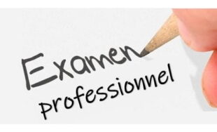 Examens d&rsquo;Aptitude Professionnelles
